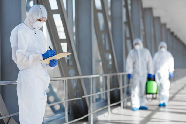 Best Mold Documentation for Insurance Claims  in Golden Valley, AZ