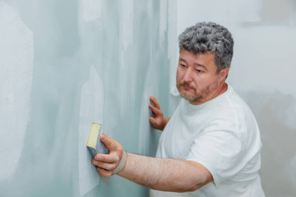 Best Post-Construction Mold Inspection  in Golden Valley, AZ