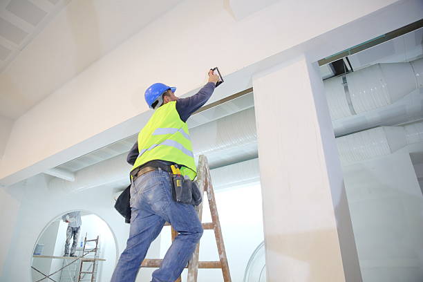 Best Basement Mold Removal  in Golden Valley, AZ